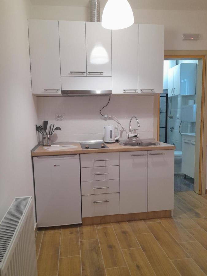 V & V Studio Apartments Nis Bagian luar foto