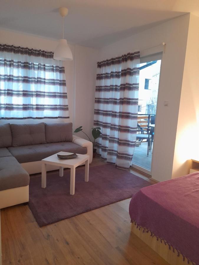 V & V Studio Apartments Nis Bagian luar foto