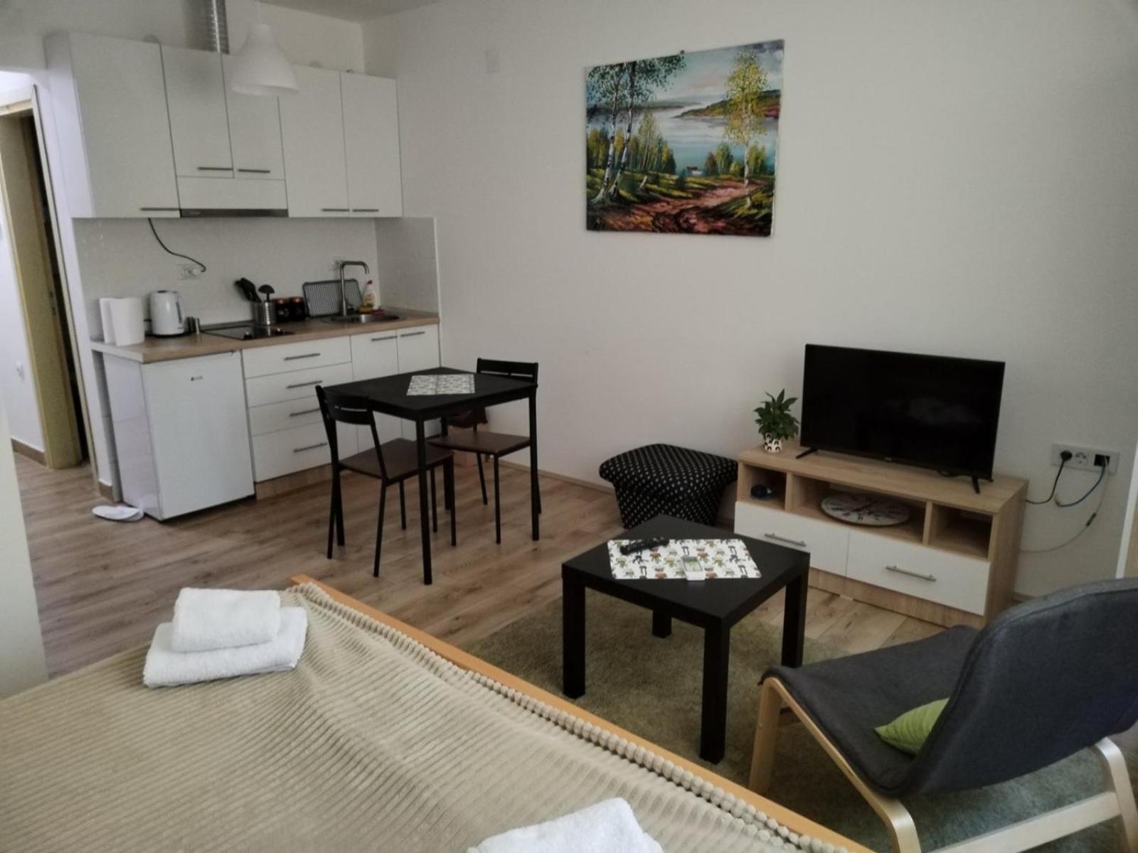 V & V Studio Apartments Nis Ruang foto